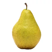 Körte