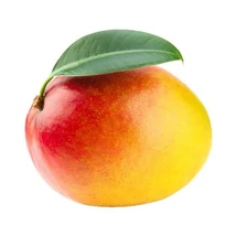 Mangó