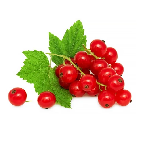 Ribizli